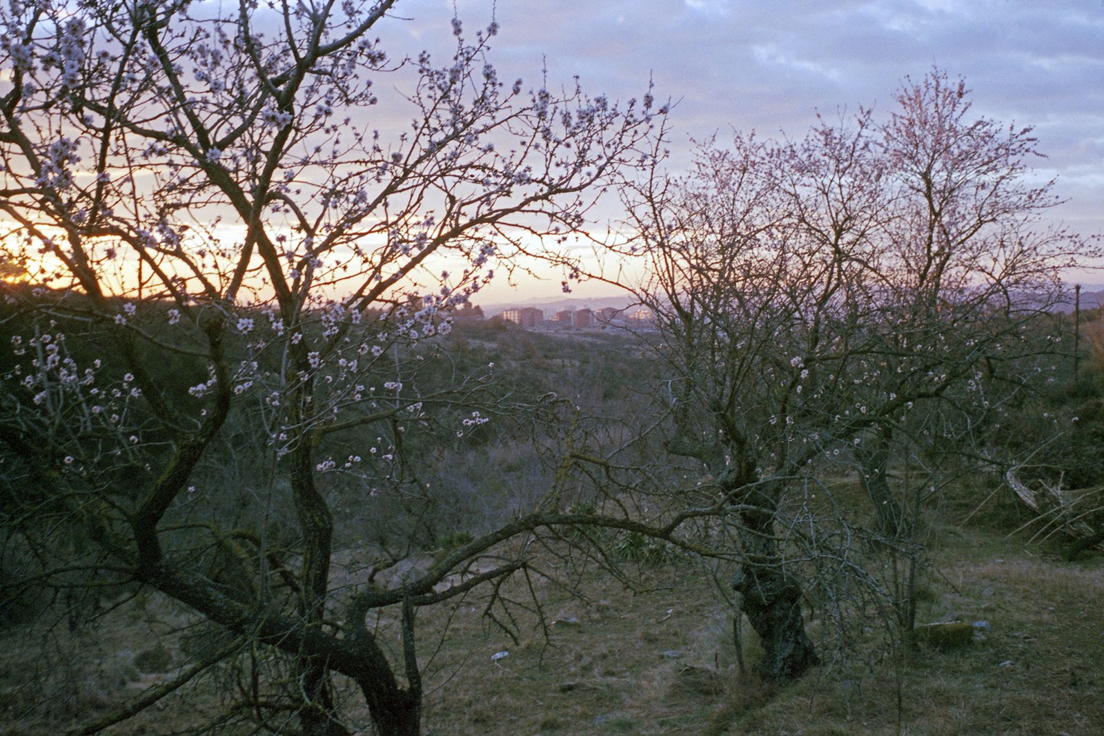 Terrassa, 2015