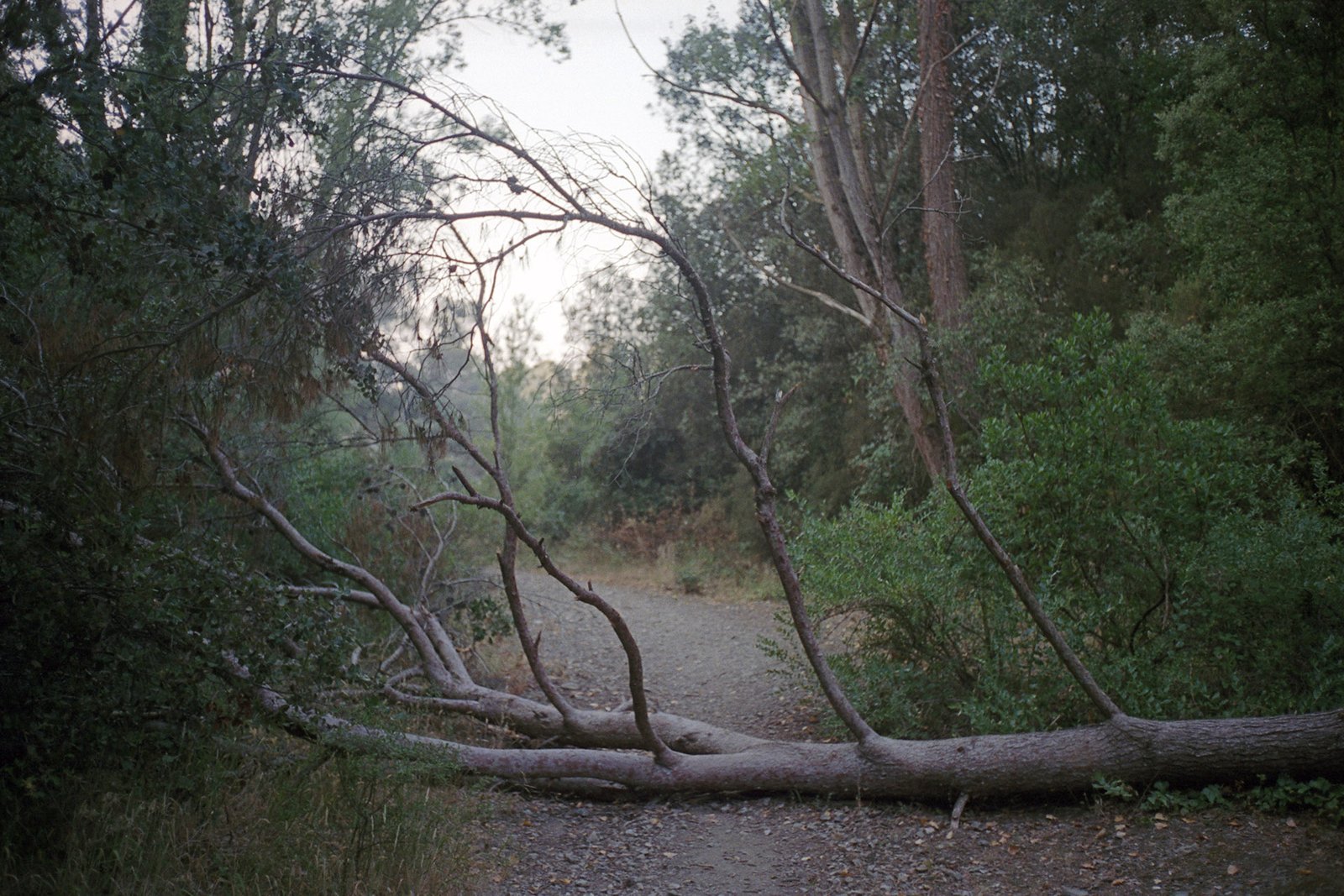 Terrassa, 2015