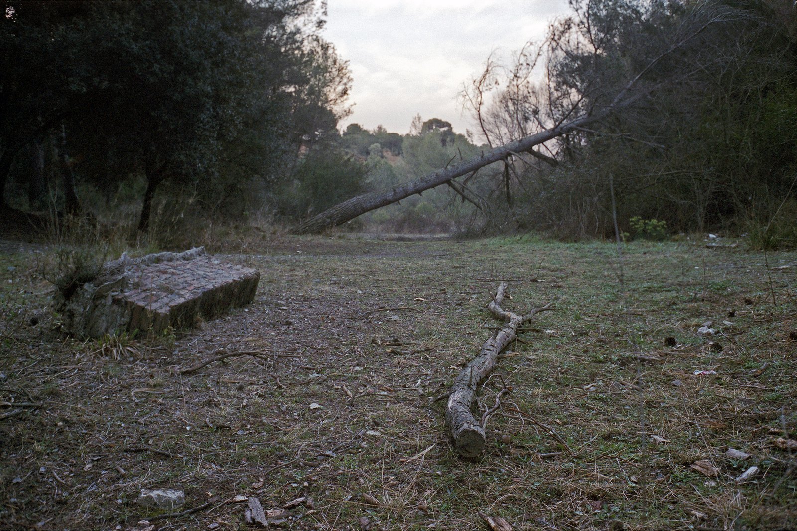 Terrassa, 2015