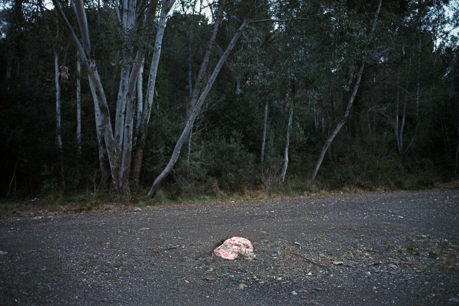 Terrassa, 2015