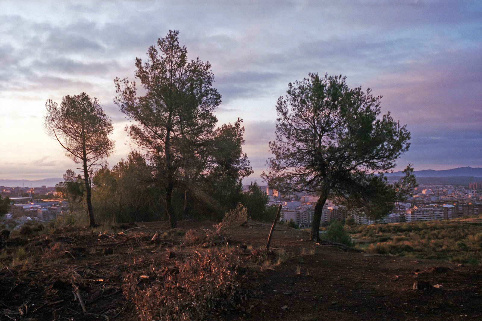 Terrassa, 2015