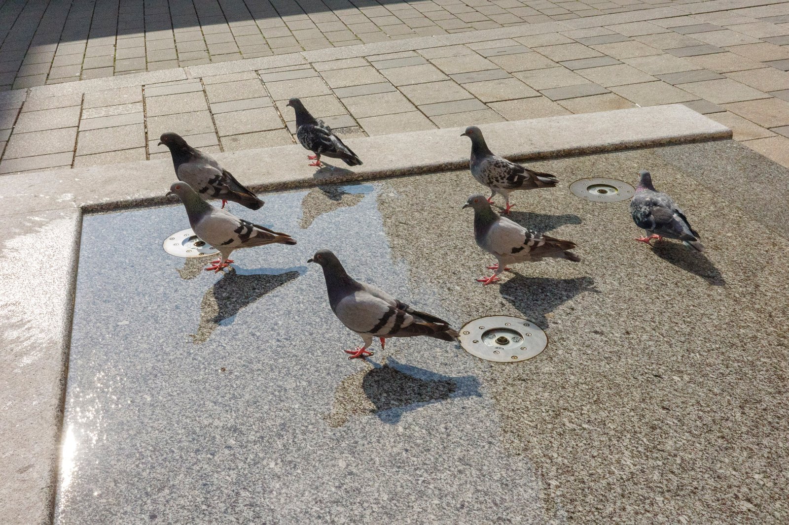 Wien, 2026