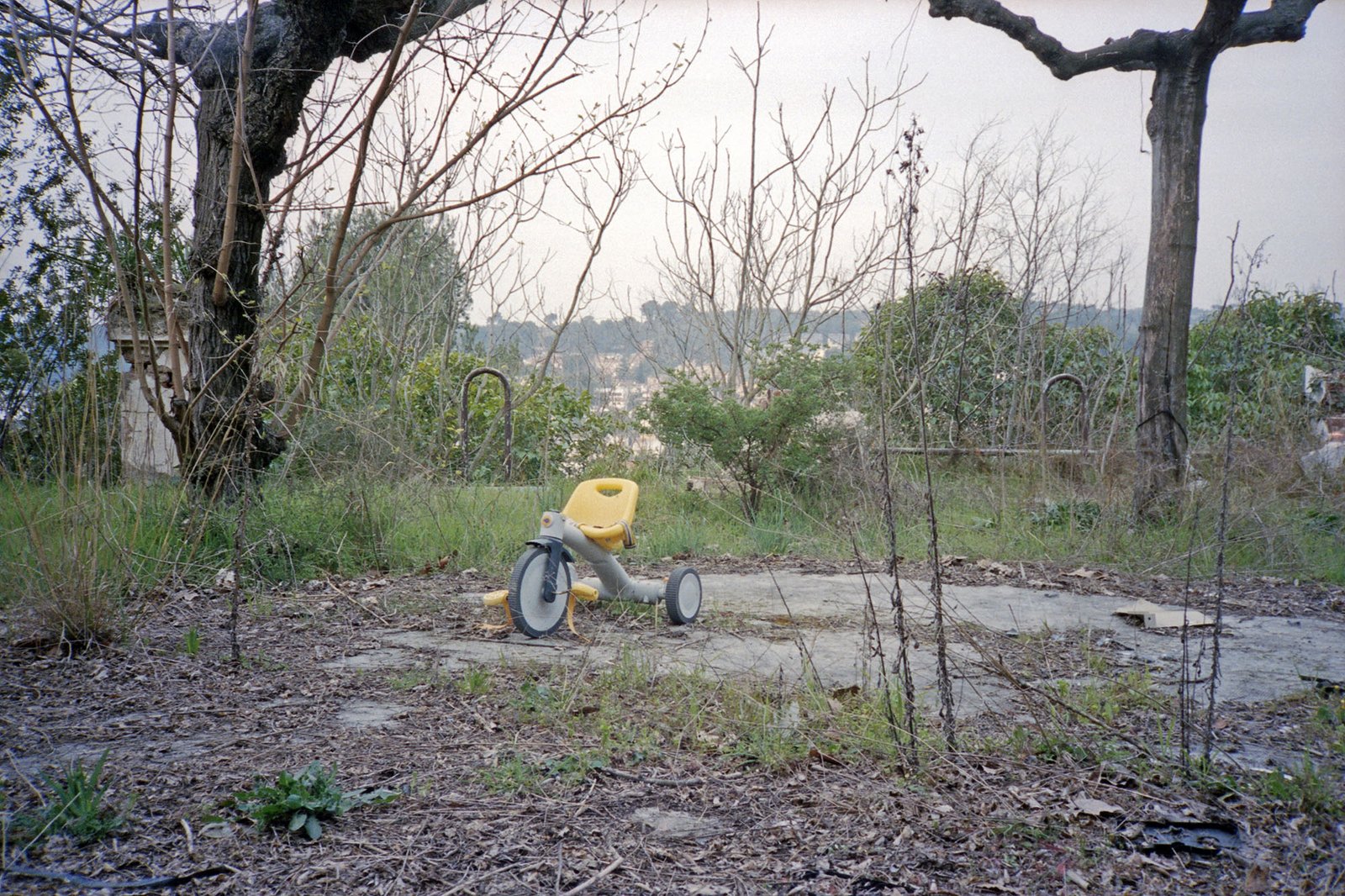 Terrassa, 2014