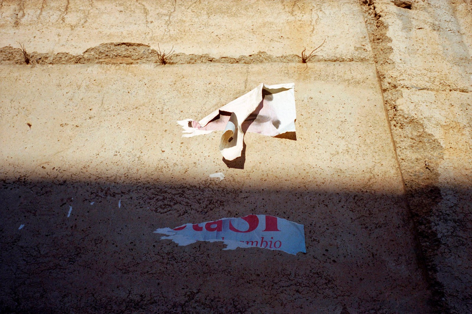 Abrucena, 2016