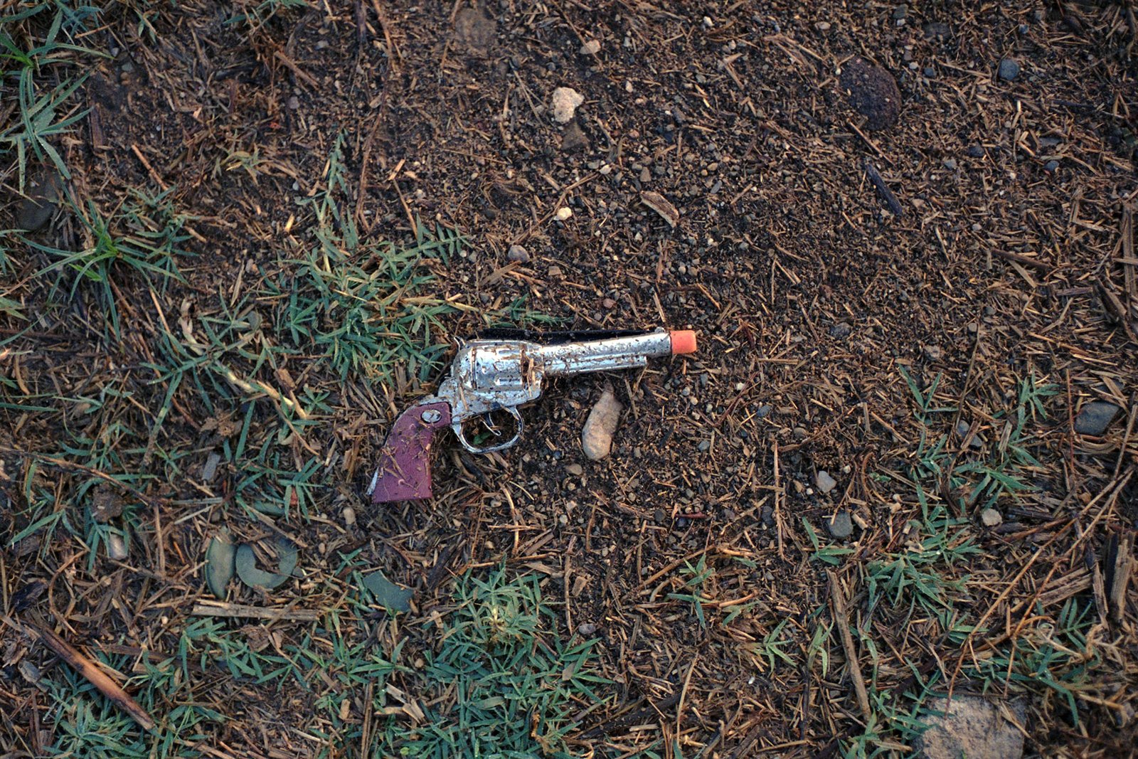 Terrassa, 2015