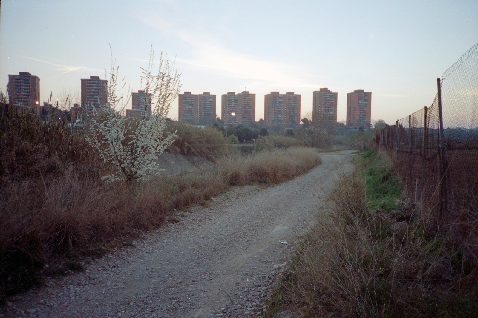 Terrassa, 2014