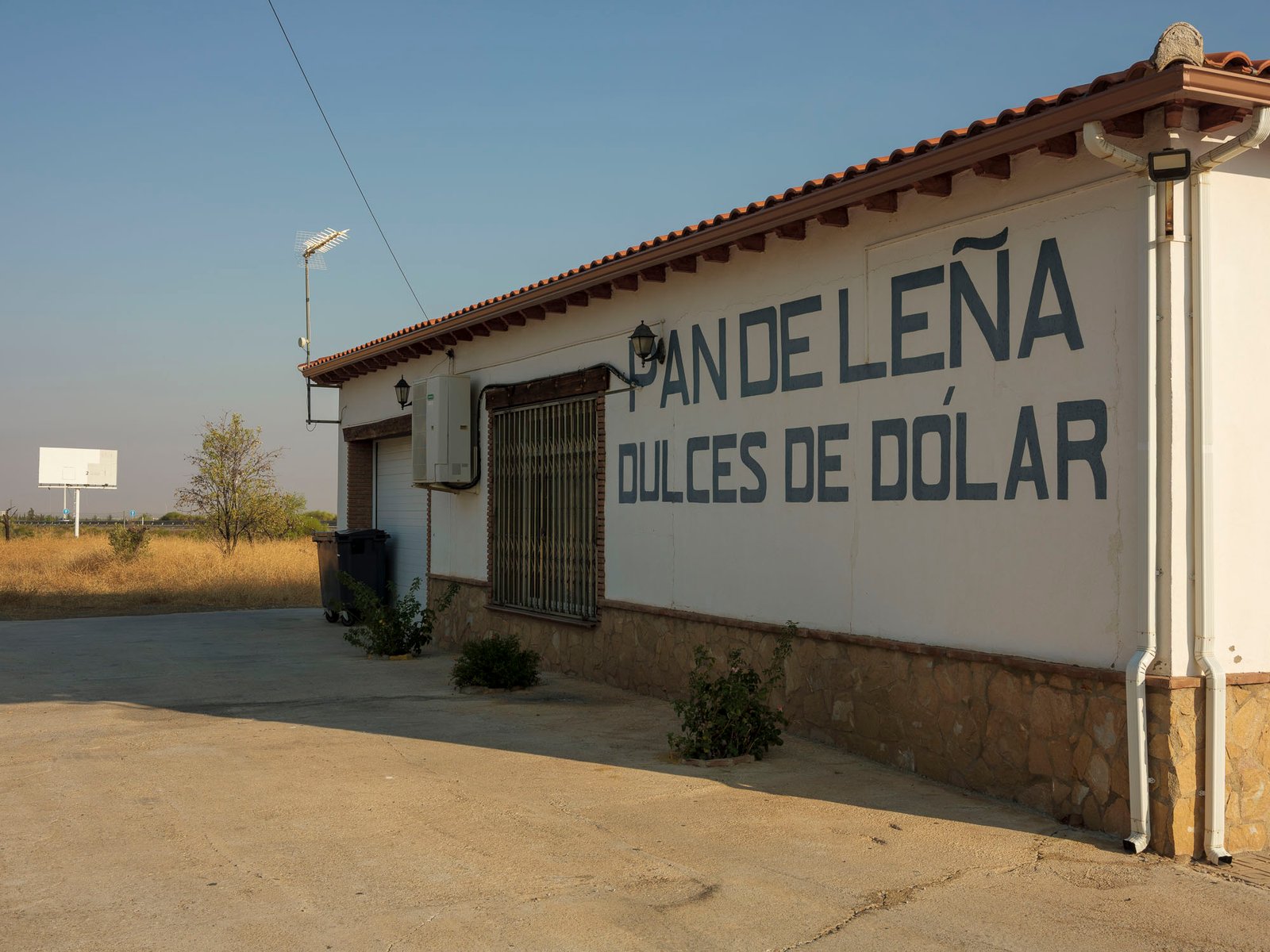 Dólar, 2025